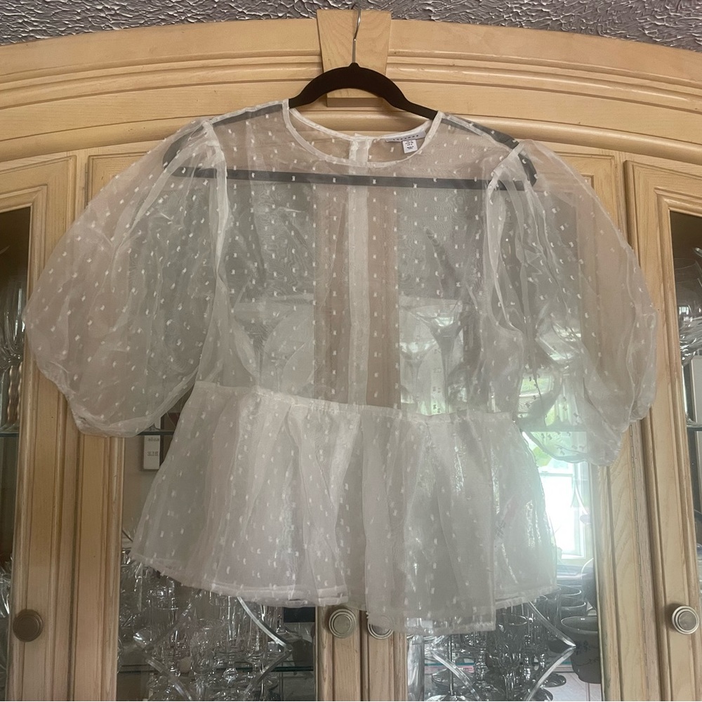 Top shop sheer shirt